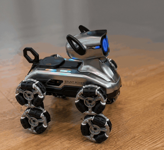 Gesture Control RC Stunt Car